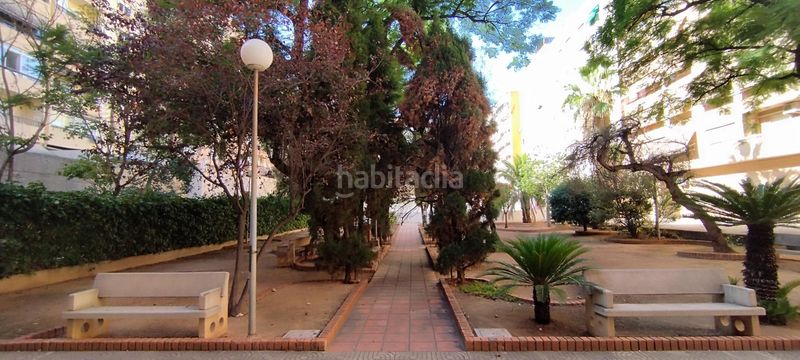 Foto 98f15a36-872b-46bf-81d7-f0d9374a98d2. Pis a Sant Isidre Valencia