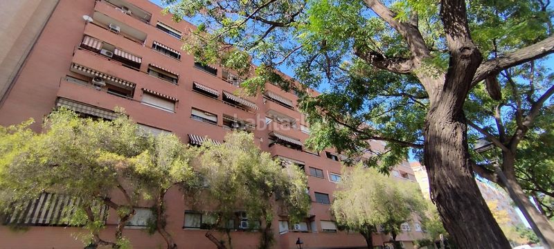Foto e589ae95-9127-4110-890c-dc59fa802b9f. Pis a Sant Isidre Valencia
