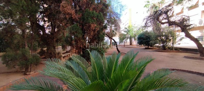 Foto f89d25cd-553f-4a63-8414-781eabb7f94f. Pis a Sant Isidre Valencia