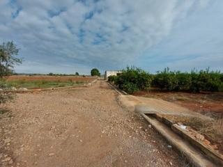Terreny residencial  Calle polígono 1. Villarreal. parcela en zona la florida con casa