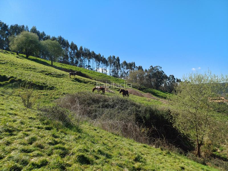 Foto 1ff73e5b-f134-422d-bcde-46ad205879d3. Terrain résidentiel dans Barcenilla - el piudal 62 dans Piélagos