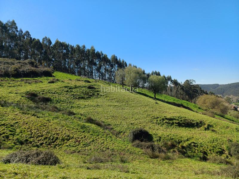 Foto 2c1c72df-1286-42fc-a2d2-1f66afbb33f1. Terrain résidentiel dans Barcenilla - el piudal 62 dans Piélagos