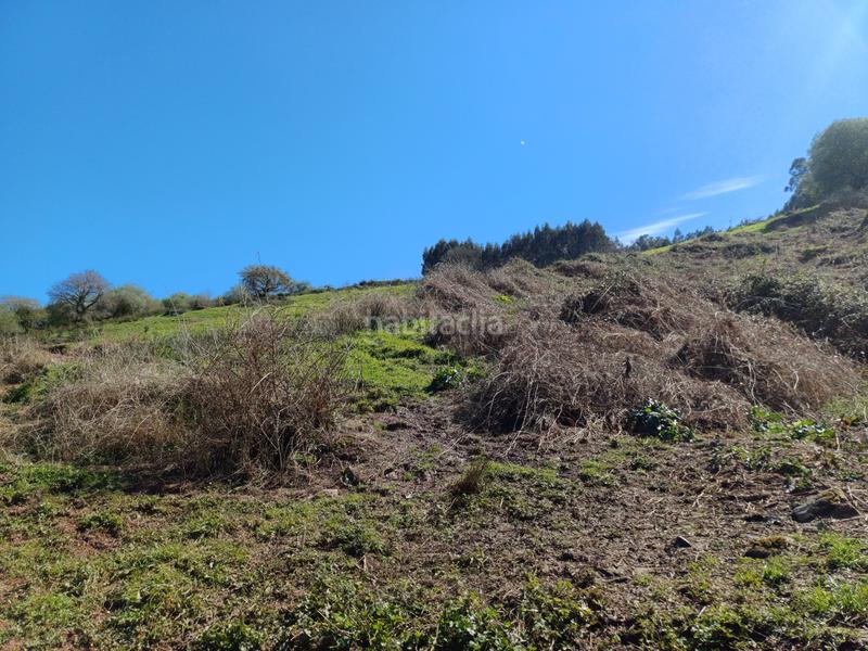 Foto b44fb113-6de1-4ec6-aa9a-1f58724119a7. Terrain résidentiel dans Barcenilla - el piudal 62 dans Piélagos