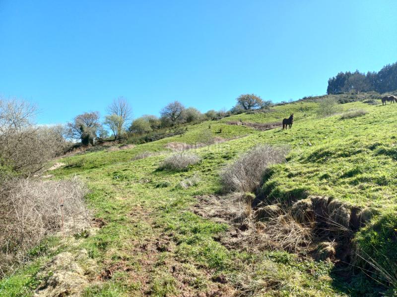 Foto ba974033-16ac-4294-ad27-4c47b6b9b651. Terrain résidentiel dans Barcenilla - el piudal 62 dans Piélagos