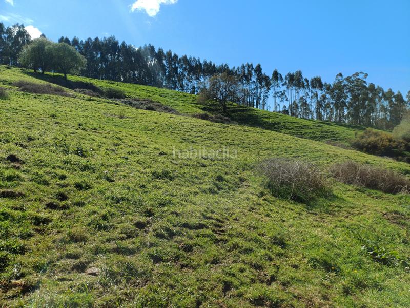 Foto cee06aa5-f6a3-4768-96ae-b959a90cbfec. Terrain résidentiel dans Barcenilla - el piudal 62 dans Piélagos