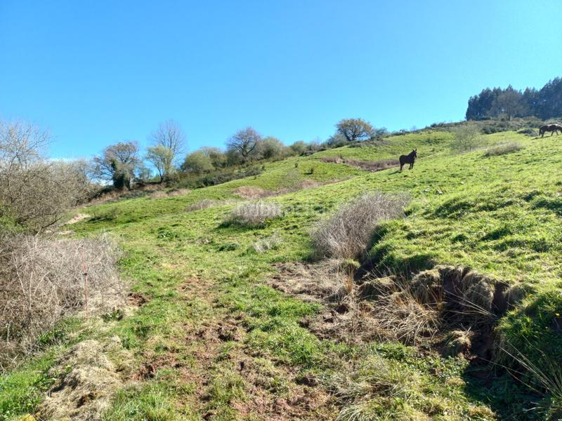 Foto f9c596f5-e6fa-4999-a49f-3b3e83467add. Terrain résidentiel dans Barcenilla - el piudal 62 dans Piélagos
