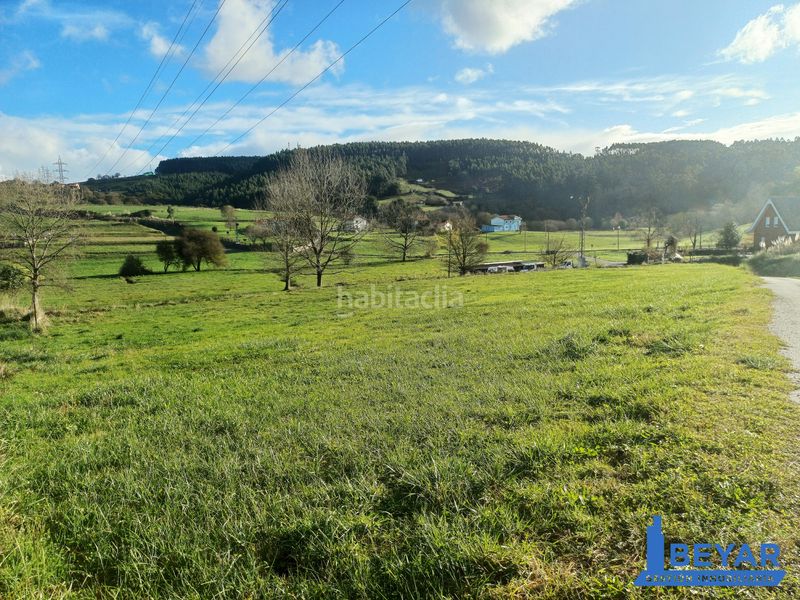 Foto ee0aa2ed-1597-4239-bbaf-5d9d5d528ac5. Finca rústica a rumoroso - soito a Polanco