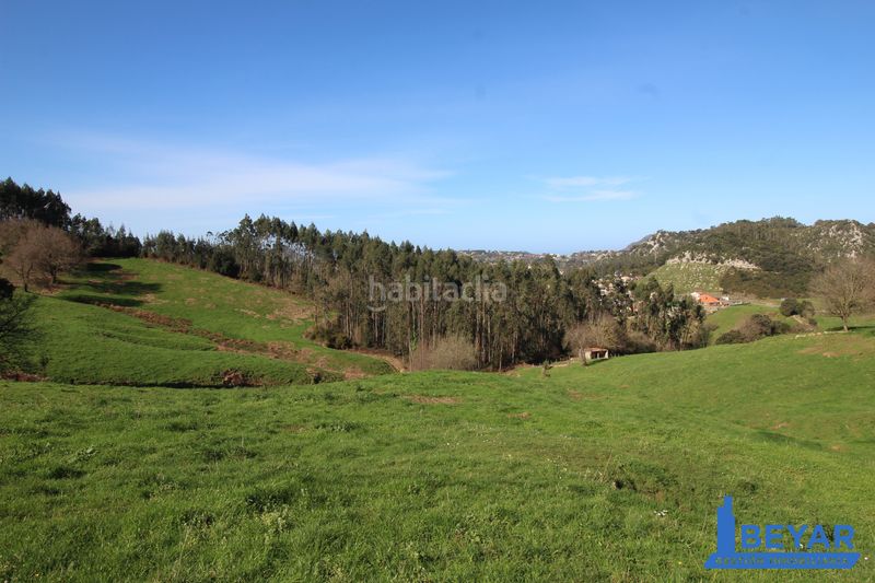 Foto e12e48ff-35bb-4026-a0ee-b610c65db340. Terreno residenziale in Arce - barrio san pantaleón in Piélagos