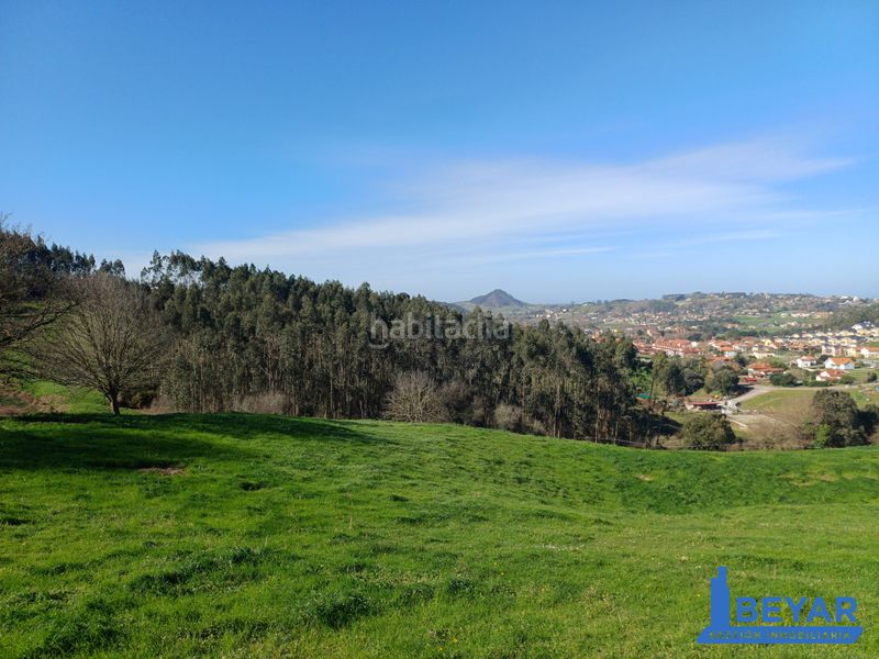Foto ef02f6f5-2cc0-4471-90ca-b098a50fc10c. Terreno residenziale in Arce - barrio san pantaleón in Piélagos