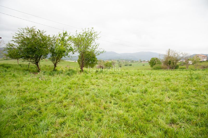 Foto c5afb25e-ed6f-41ba-80c5-e58994285229. Casa adossada a Penagos