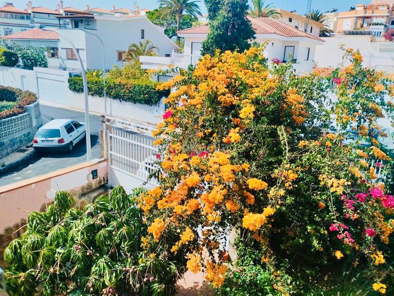 Foto d241dc71-e10f-4273-a020-4595e2e09ac0. Casa aparellada amb aparcament piscina a Tristán - García Escámez - Somosierra Santa Cruz de Tenerife