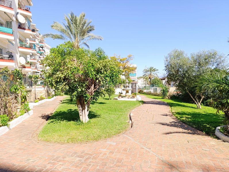 Foto b374d8a0-c5b2-45e7-b52e-0f57aaf25802. Planta baixa amb piscina a Playamar - Benyamina Torremolinos