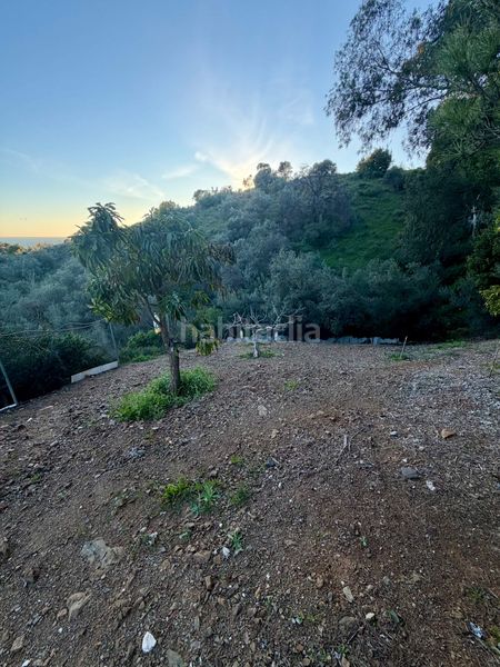 Foto 02bd7f0c-7fab-435b-af7d-e5560a03f0e8. Finca rústica a Diseminados Rincón de la Victoria