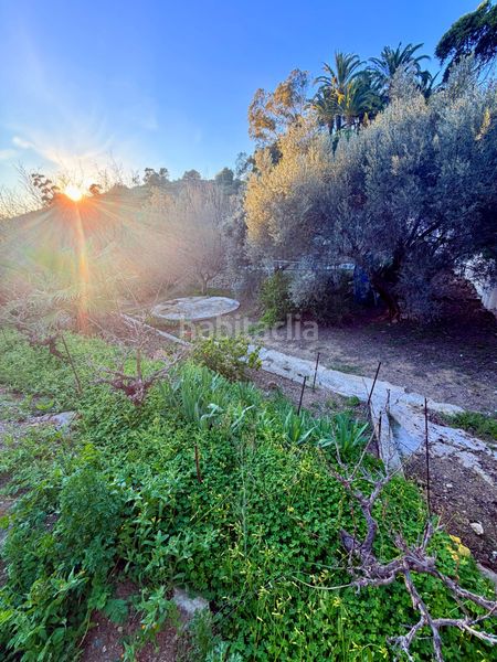 Foto 524e3e93-48a9-4928-861e-966896f5c7d3. Finca rústica a Diseminados Rincón de la Victoria