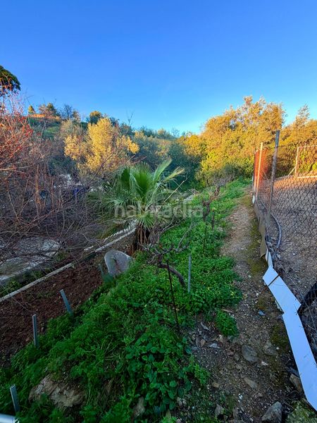 Foto 7127fa39-436f-49aa-897e-83bf54848389. Finca rústica a Diseminados Rincón de la Victoria