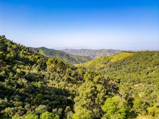 Masia  Residencia santa clara. Cortijo las vizcaínas  autenticidad andaluza en plena naturaleza