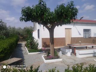 Xalet a N/a. Nave tipo chalet con olivos