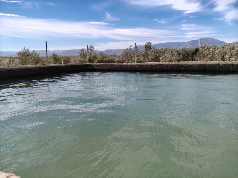 Foto 1cfa1ca6-0314-4180-b5ac-ba122f9e37e0. Finca rústica a n/a a Caniles