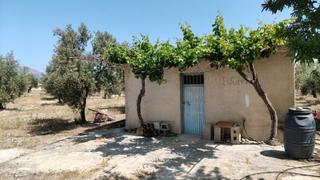 Finca rústica a N/a. Olivos de un pie con agua