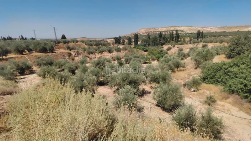 Foto 0a7083f7-480b-44f7-918d-ab5533b9cc83. Chalet en calle f 2 chalet con cochera en Cuevas del Campo