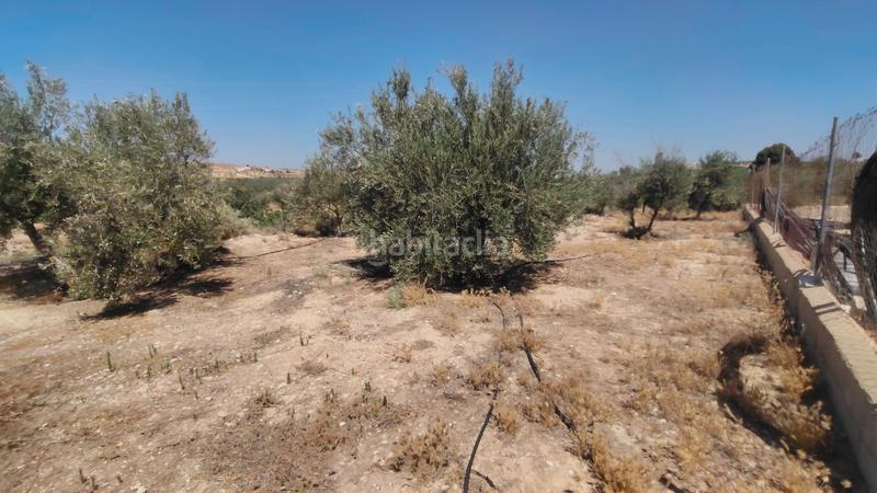 Foto 711a75c8-5430-4cb3-9c6b-9016a4321845. Chalet en calle f 2 chalet con cochera en Cuevas del Campo