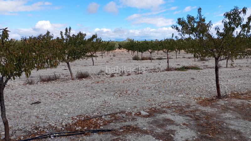 Foto 1c1823f1-c412-4530-a89d-2c055546bb2f. Landgut in n/a in Baza