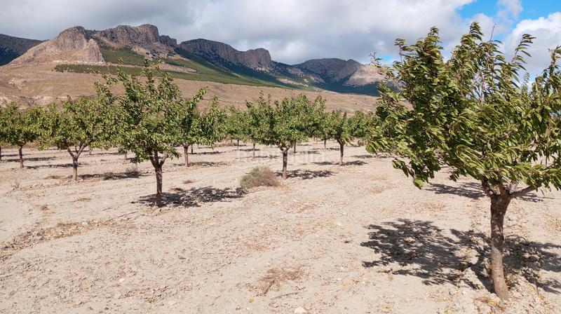 Foto 4033fa80-f3d9-491a-925e-6a47ce06c1ed. Landgut in n/a in Baza