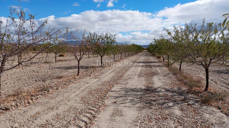 Foto 53eb7b31-30c0-4d90-9037-6533efb8fc30. Landgut in n/a in Baza