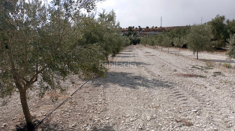 Foto 8b5ada78-12b7-464f-8623-3f045aad5d80. Landgut in n/a in Baza