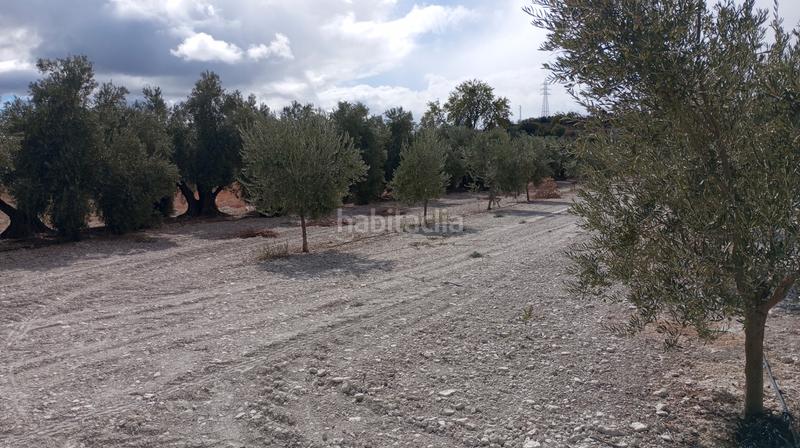 Foto 90e68cb1-21e3-41b0-8c4f-782c0a9de43f. Landgut in n/a in Baza