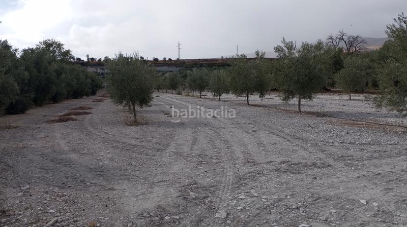 Foto 9415939f-2da2-454e-a33f-983830515ebf. Landgut in n/a in Baza