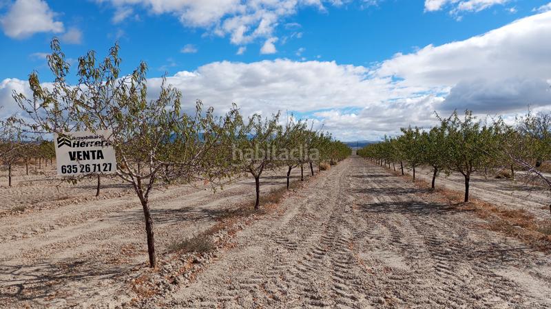 Foto ce4d2ea3-1bef-4b79-814b-9b5f1850c4ec. Landgut in n/a in Baza