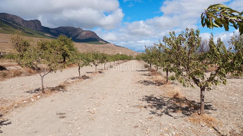 Foto f612cd05-ca71-4855-8c86-727e4e091357. Landgut in n/a in Baza