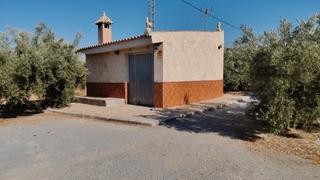 Chalet  Camino san tizo 1s. Nave y olivos