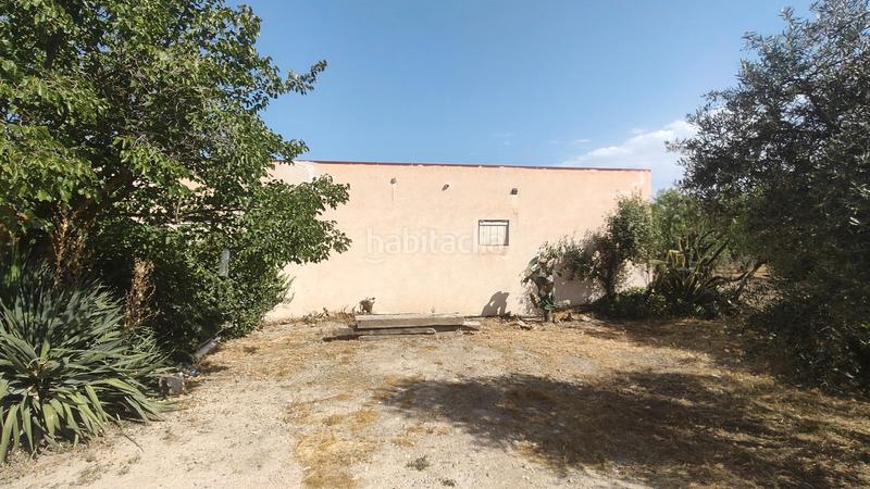 Foto 2b03f8b9-036c-4a24-9f59-d62da78c475c. Chalet en camino san tizo 1s nave con olivos en Baza