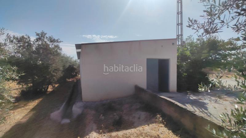 Foto 2fc35791-8449-4a6b-b615-ab1b5b172668. Chalet en camino san tizo 1s nave con olivos en Baza