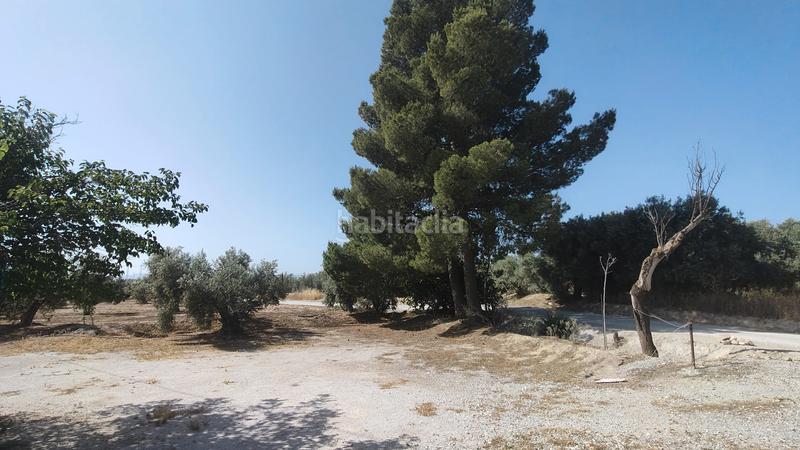 Foto e1cce4b7-71c0-415d-b6ce-92c54aa1d90c. Chalet en camino san tizo 1s nave con olivos en Baza