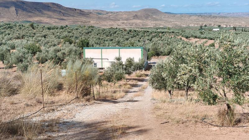 Foto 6530f508-801f-4d84-8df2-f6d8bbeac8f6. Chalet en n/a nave con olivos en Zújar