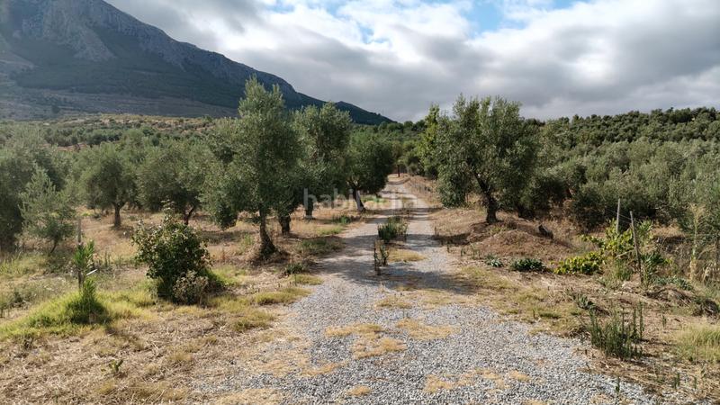 Foto 7b243986-ce74-4b5b-a519-018c80d84e76. Chalet en n/a nave con olivos en Zújar