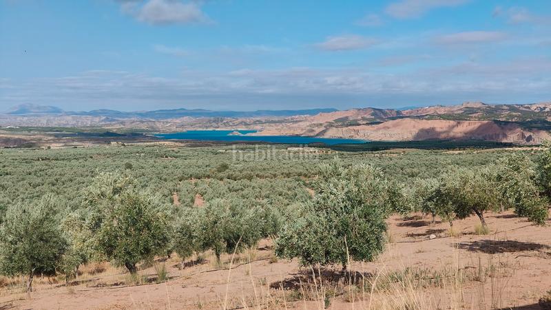 Foto bbce9fc4-d100-4d16-a7e1-b547916c2642. Chalet en n/a nave con olivos en Zújar