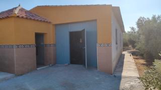 Xalet  N/a. Vivienda y nave con olivos
