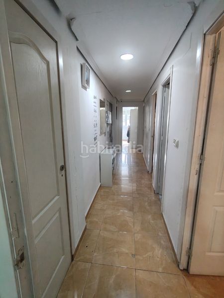 Foto f1ce2028-ae73-4eed-8117-a39ee95ab620. Pis a Baza
