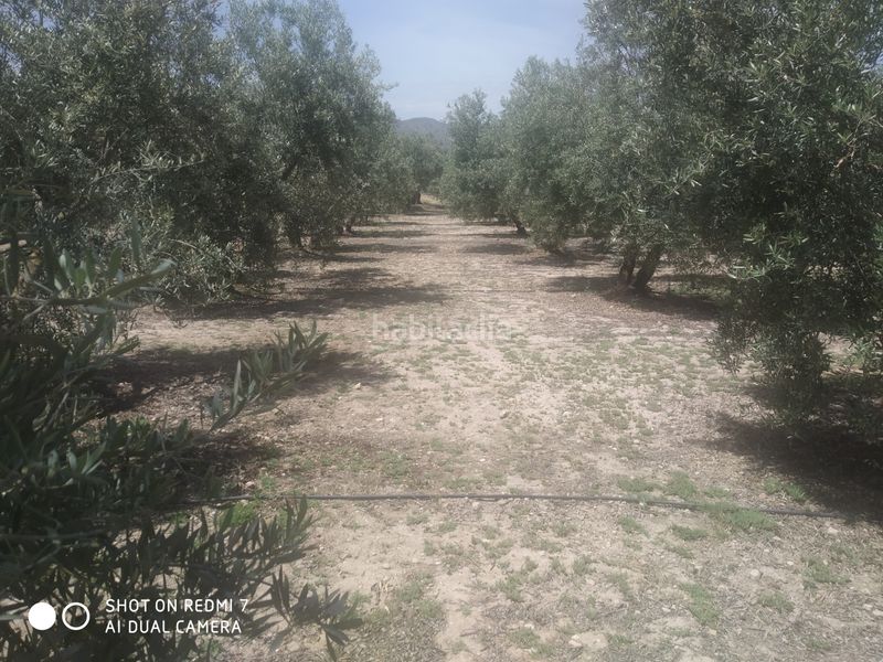Foto 2cd65a9e-6760-4af8-ad98-a66e37f85edf. Xalet a Baza