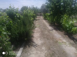 Chalet  Lugar cortijo salomon. Nave con barsa de riego pozo y olivos