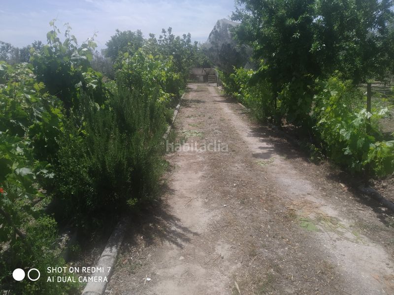 Foto d5db34ec-4670-4769-a14f-77813bba5536. Xalet a Baza