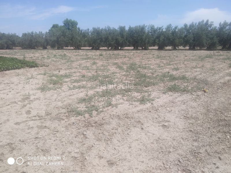 Foto f1803bcc-e5e4-4f8a-8d3f-f1f7d46f65a2. Xalet a Baza