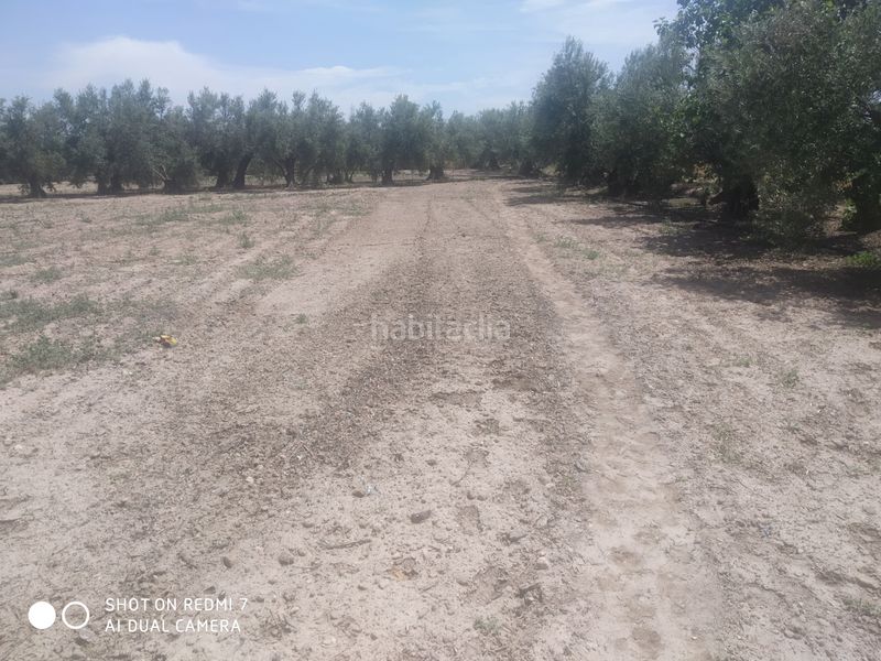 Foto fcdb0b63-3527-4c86-bdc6-d99b612b7632. Xalet a Baza