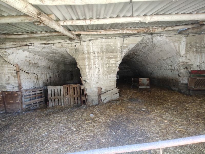 Foto 50d15635-5586-4eeb-84cf-5baf530727e9. Chalet complejo de cuevas en Benamaurel
