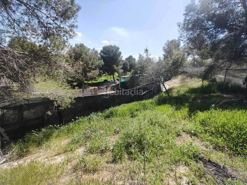 Foto f8f82bfe-404d-45ff-afba-3450b16f49c3. Chalet complejo de cuevas en Benamaurel