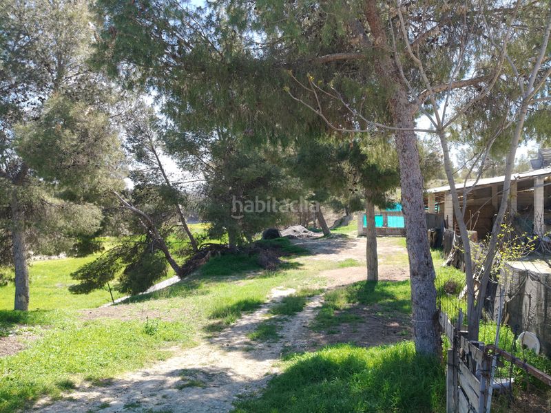 Foto fd21441b-12fb-47b2-84b5-87c561fc0998. Chalet complejo de cuevas en Benamaurel